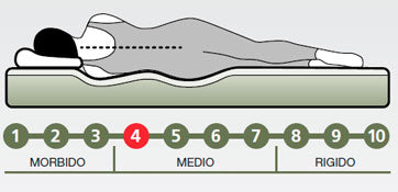 Madrid 800 Molle insacchettate + Memory