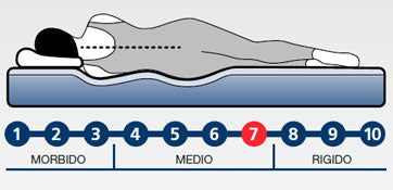 Sanitario Anallergico