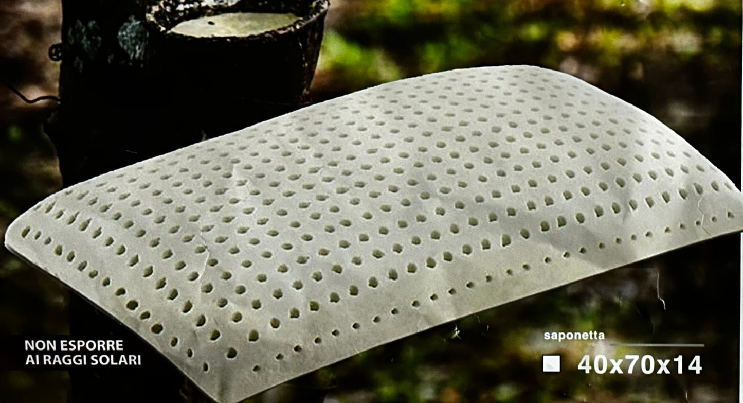 Guanciale 100% Lattice